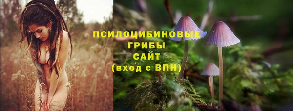 гидра Верхнеуральск
