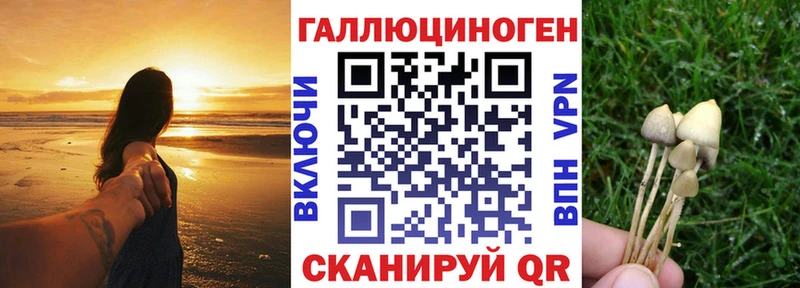Псилоцибиновые грибы мицелий  закладки  Кашин 
